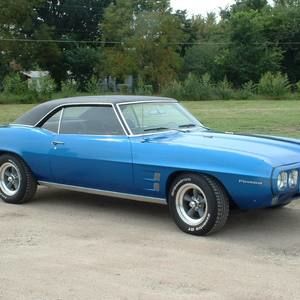 Meet your Posher, Abigail